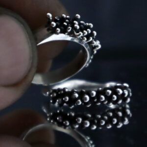 Anillo Tricom