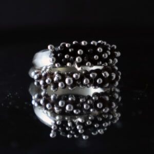 Anillo Tricom