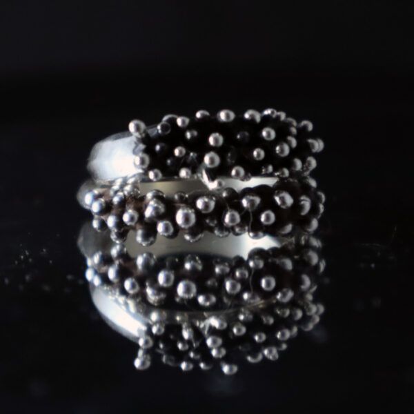 Anillo Tricom