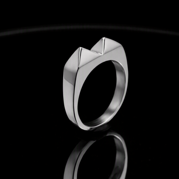Anillo Kakute Pikas 2