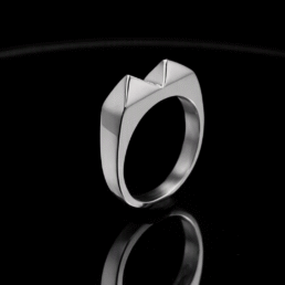 Anillo Kakute Pikas 2