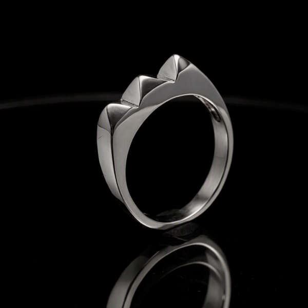 Anillo Kakute Pikas 3